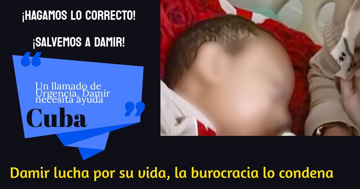 Damir